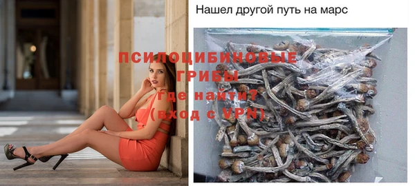 мдпв Липки