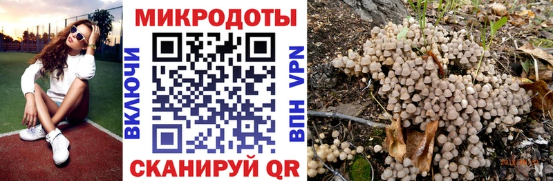 Псилоцибиновые грибы мицелий  Сухой Лог 