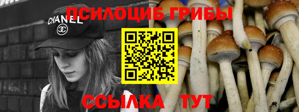 Галлюциногенные грибы Psilocybine cubensis  Вход с VPN  Сухой Лог  Псилоцибиновые грибы Cubensis 