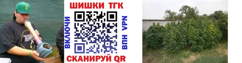 Бошки марихуана White Widow  Сухой Лог 